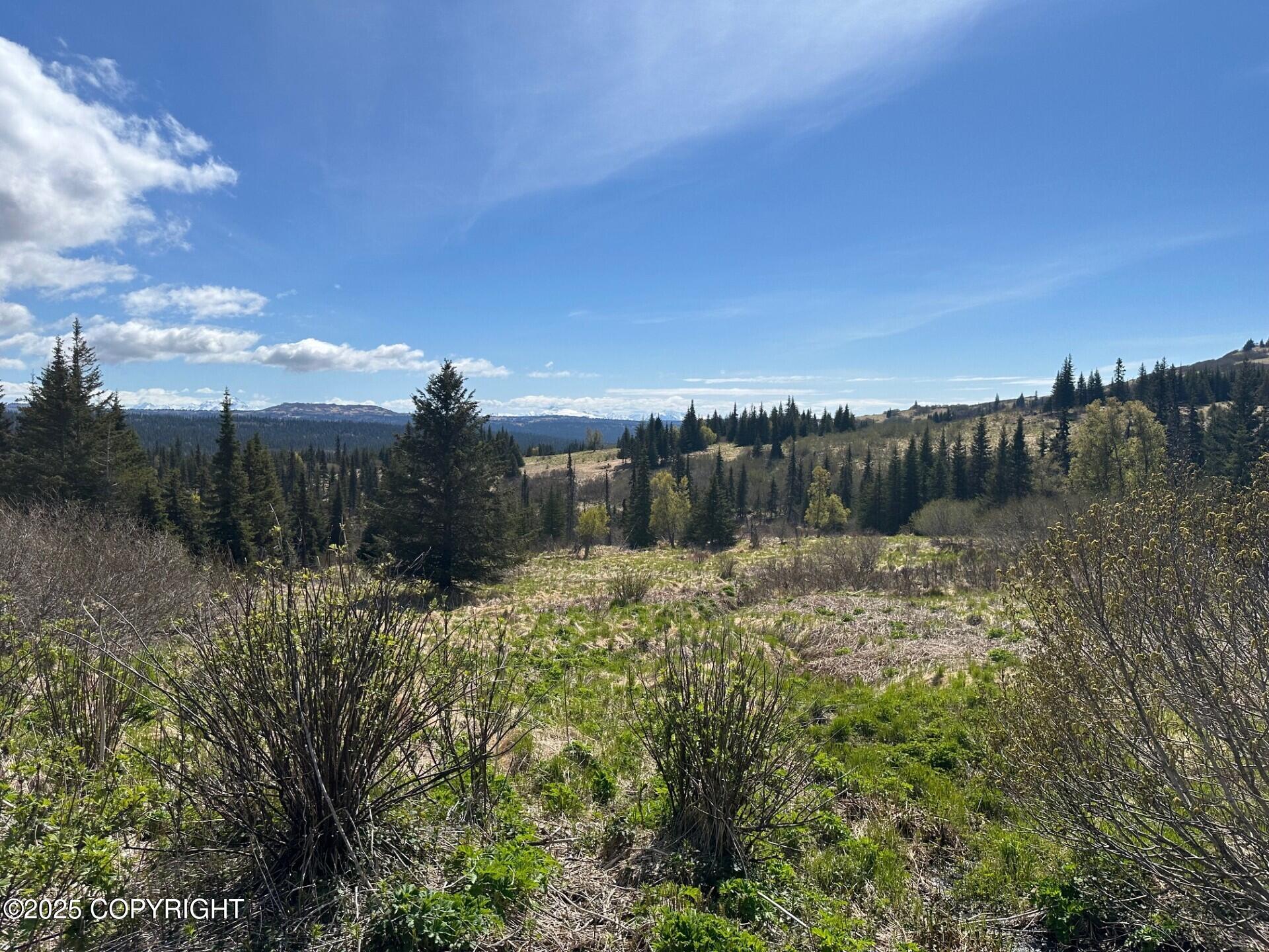 63687 Inez Avenue, Anchor Point, Alaska image 3