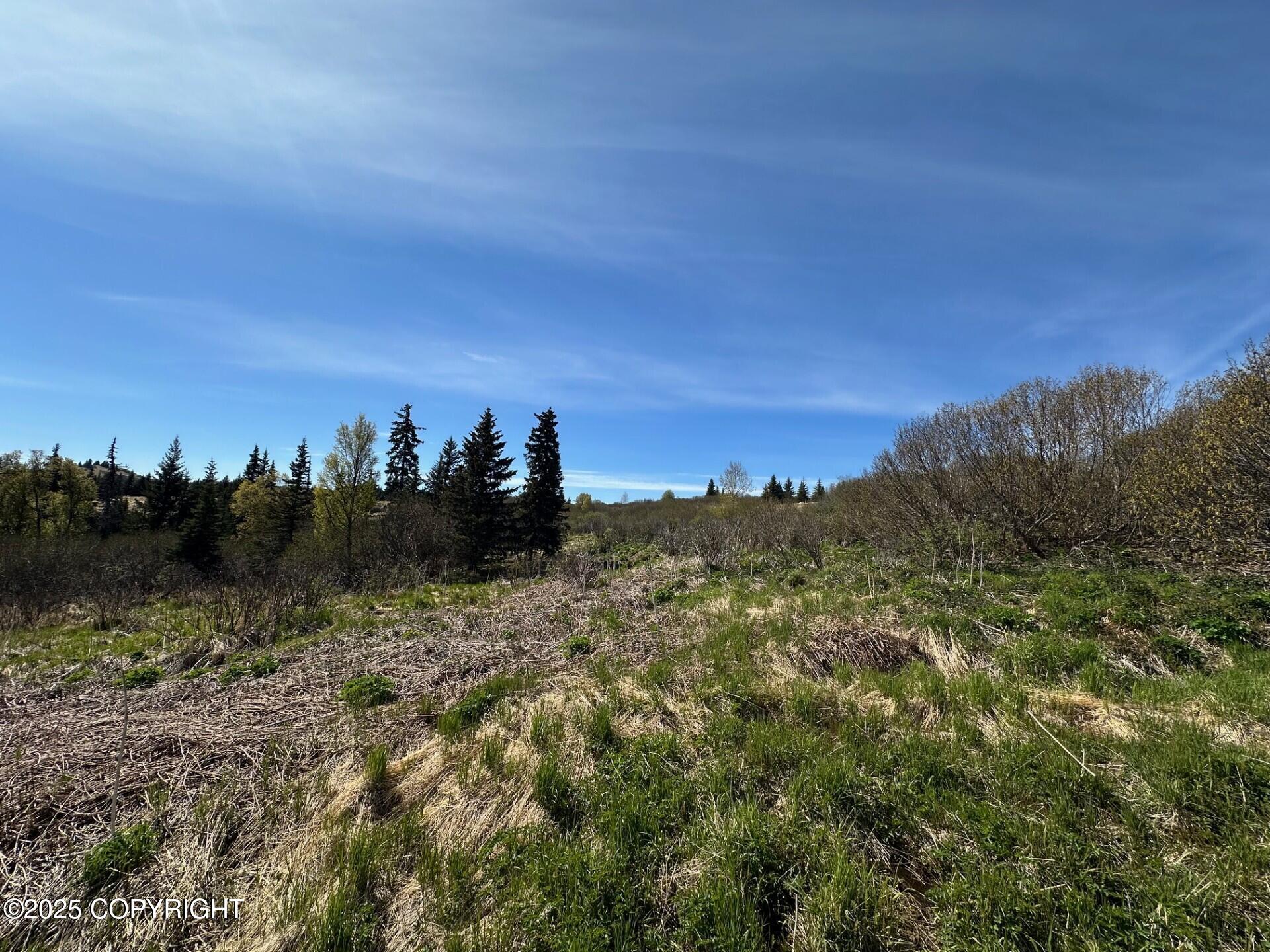 63687 Inez Avenue, Anchor Point, Alaska image 19