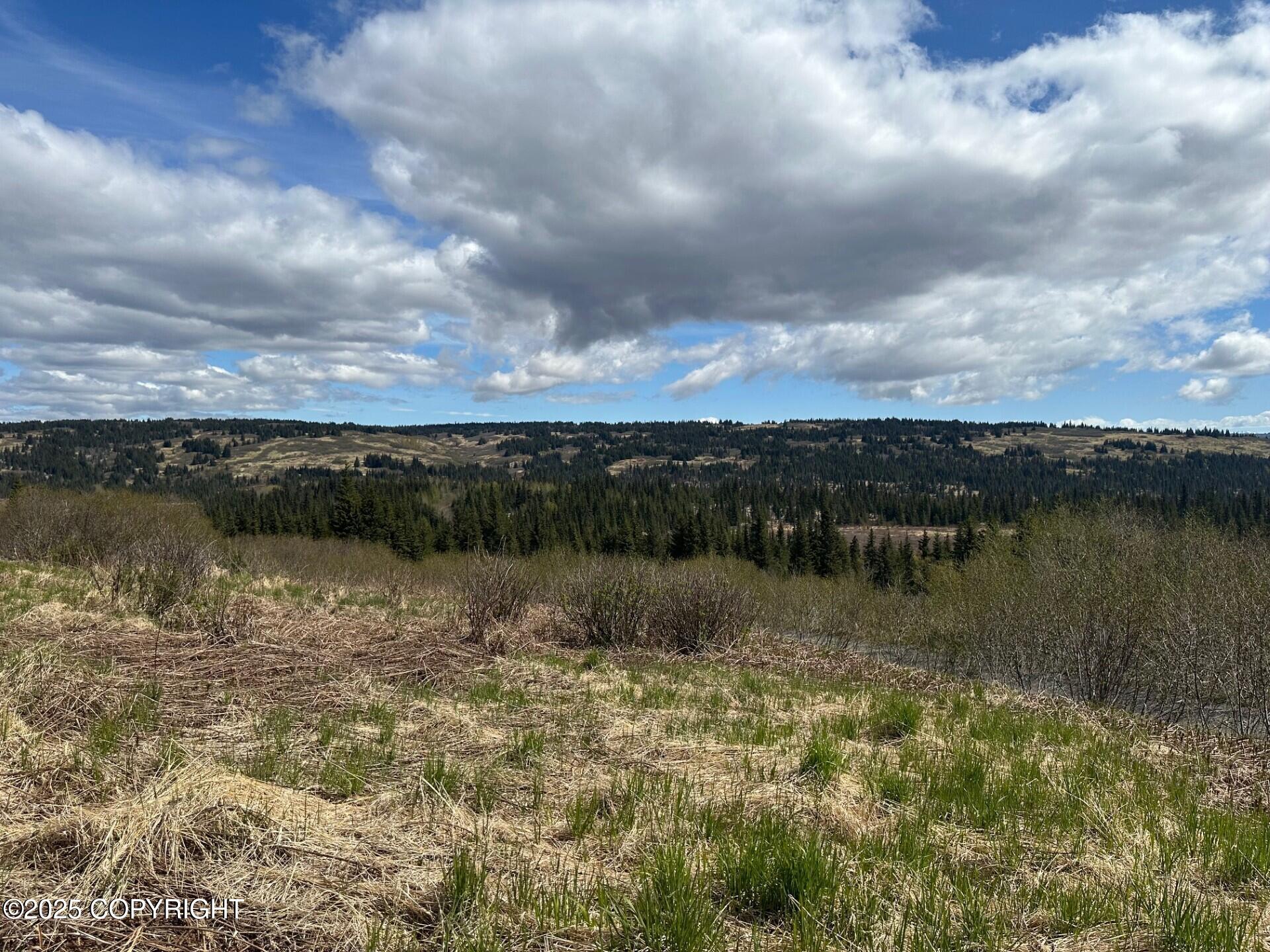 63687 Inez Avenue, Anchor Point, Alaska image 8