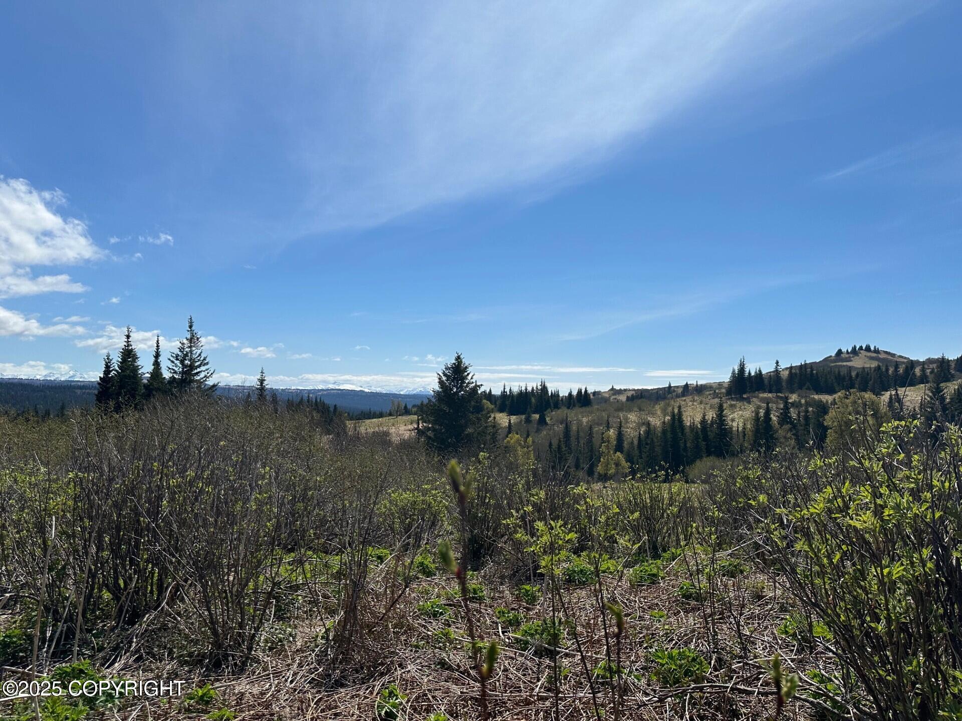 63687 Inez Avenue, Anchor Point, Alaska image 27