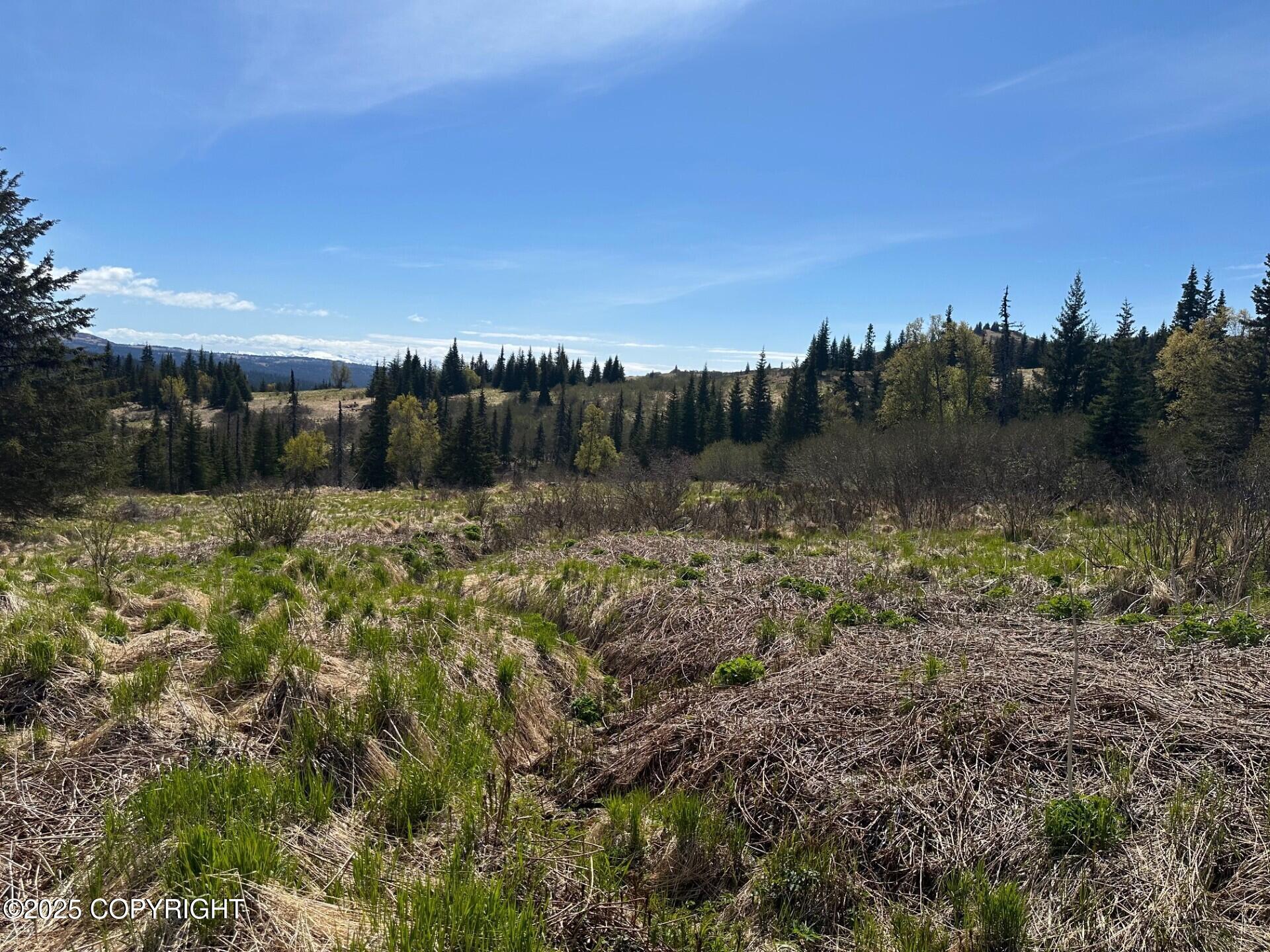 63687 Inez Avenue, Anchor Point, Alaska image 18