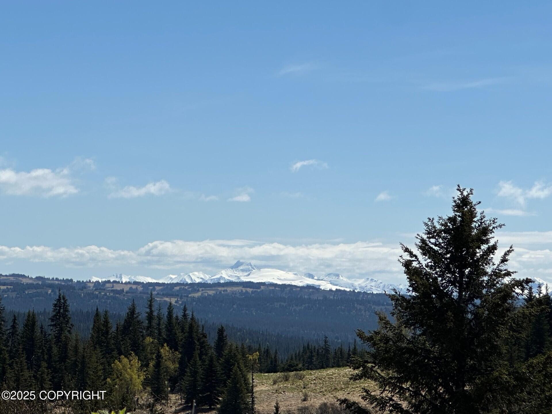 63687 Inez Avenue, Anchor Point, Alaska image 2