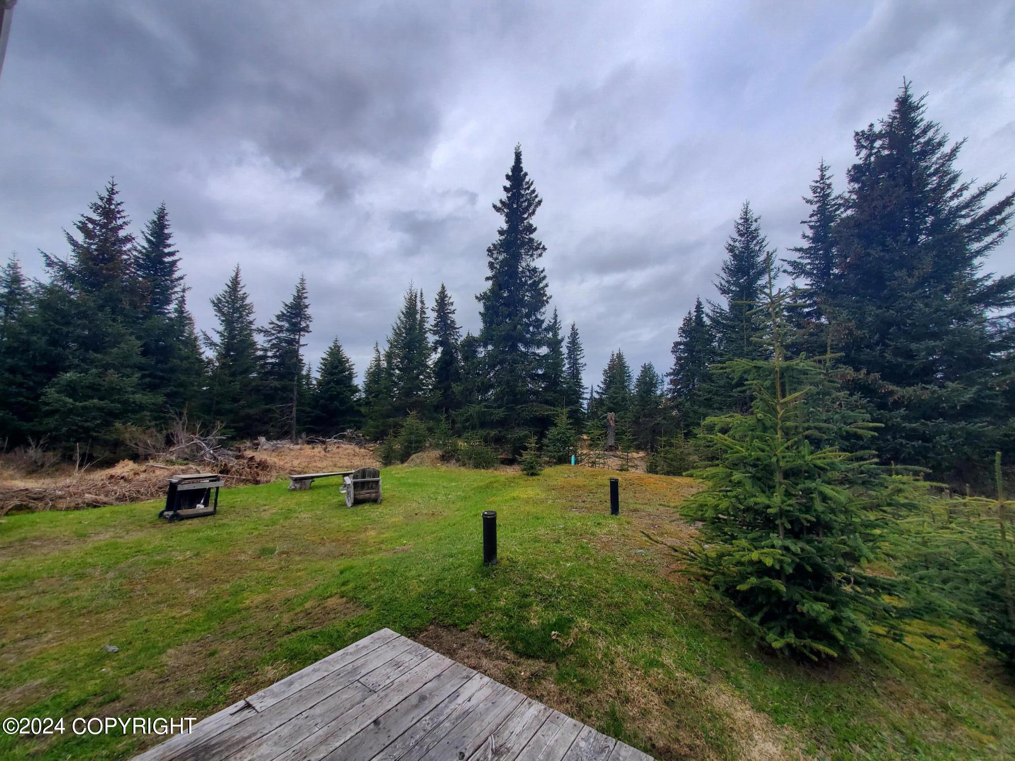 33457 N Sterling Highway, Anchor Point, Alaska image 6
