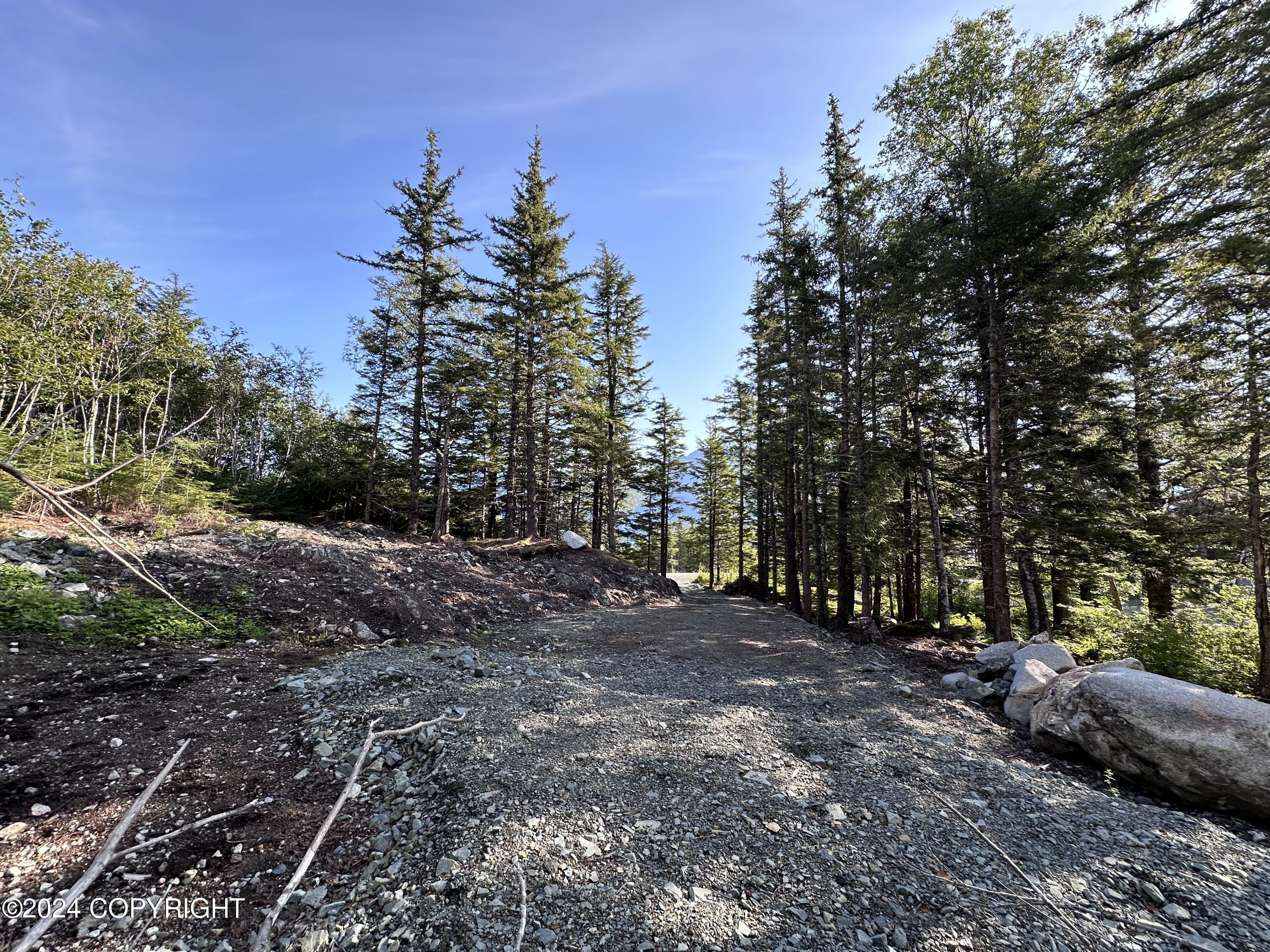 L6 BC Skyline Drive, Haines, Alaska image 7