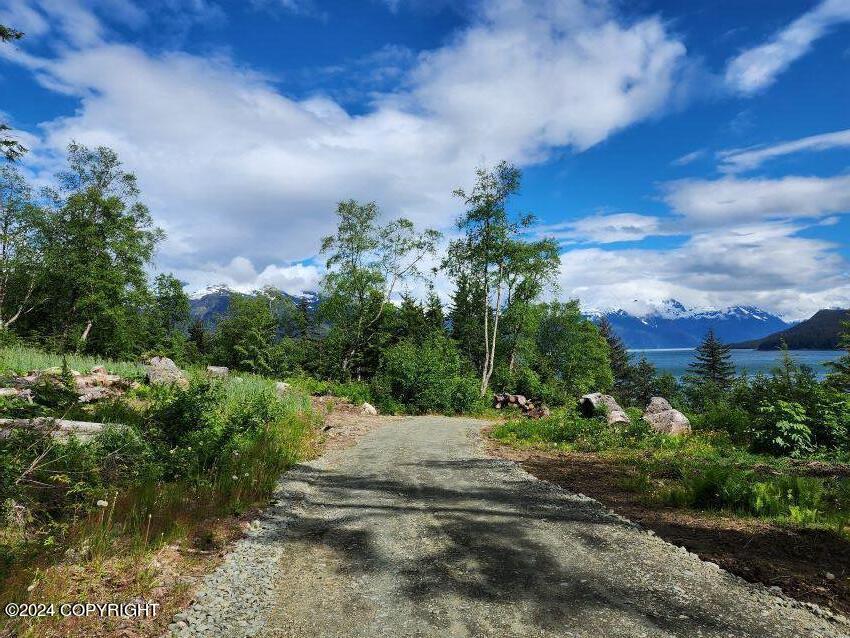 Lot 5 E Barnett Drive, Haines, Alaska image 2