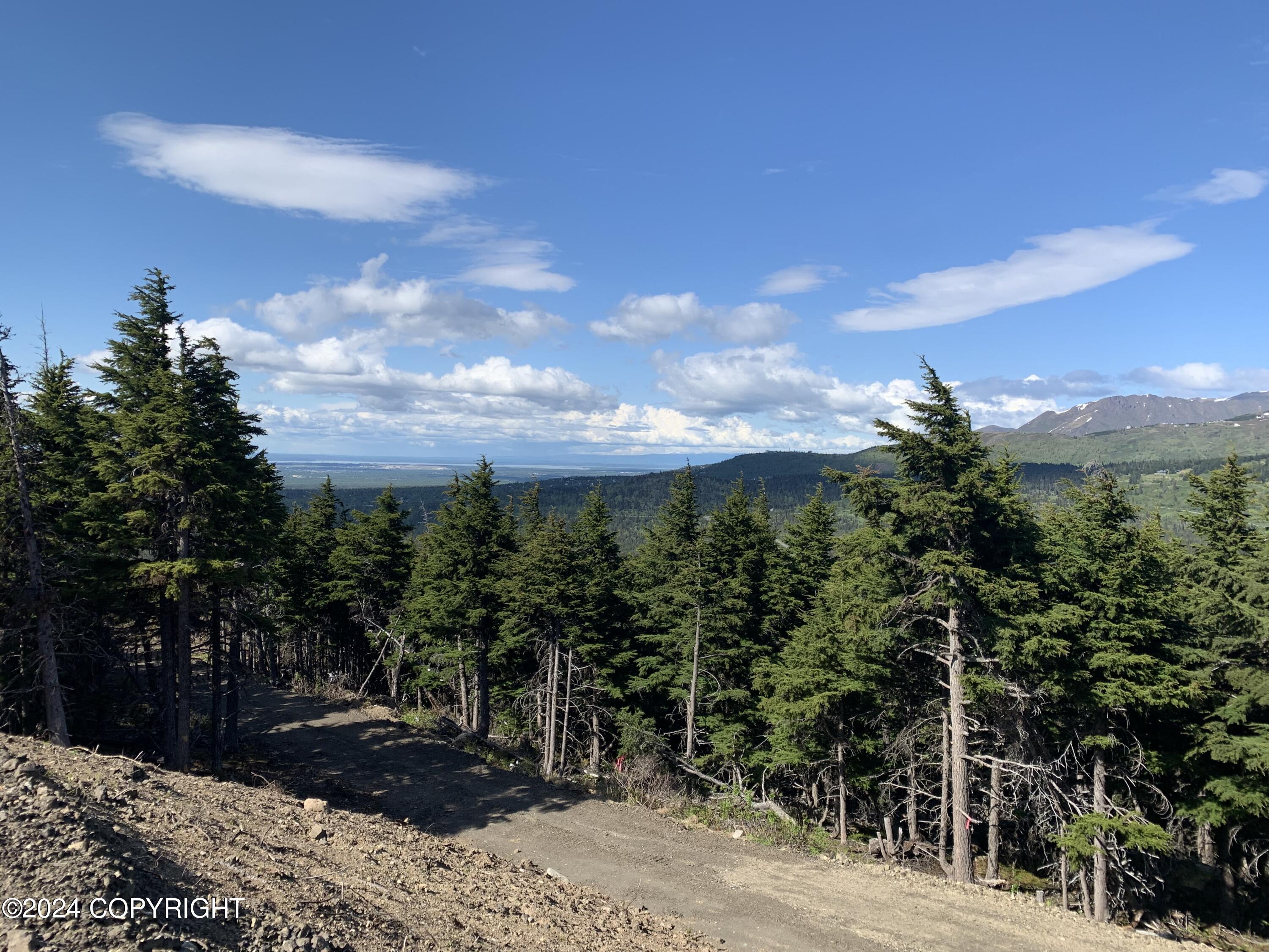 L2 Paine Circle, Anchorage, Alaska image 9