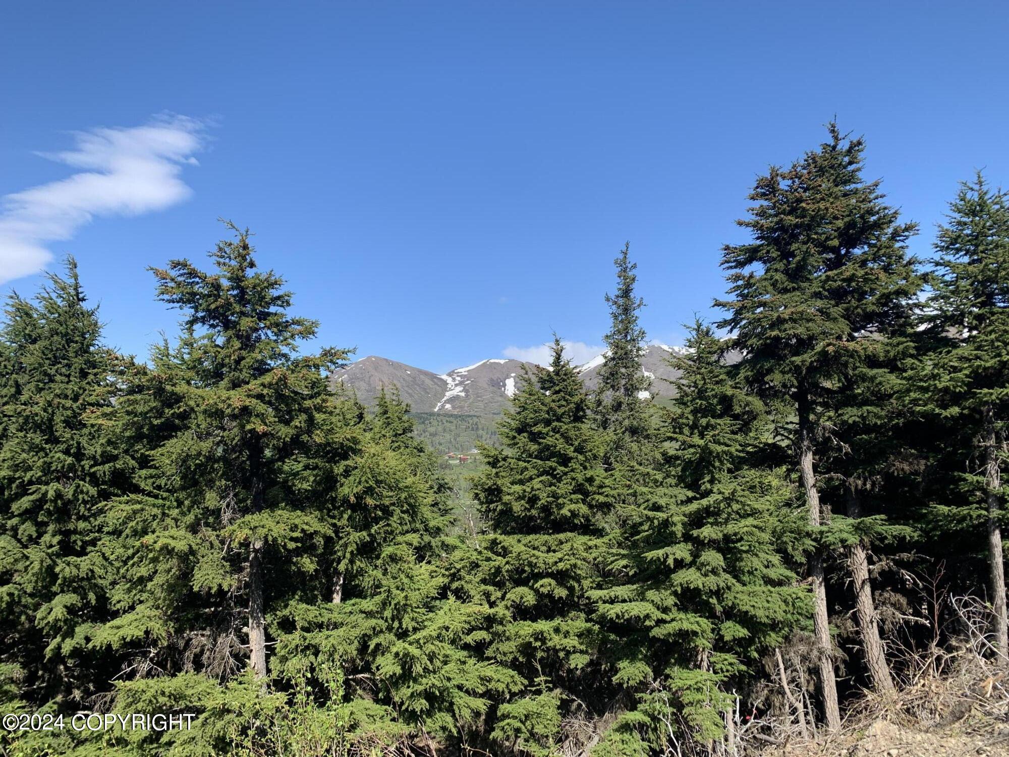 L2 Paine Circle, Anchorage, Alaska image 11