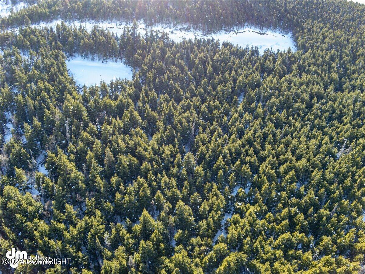L2 Paine Circle, Anchorage, Alaska image 15