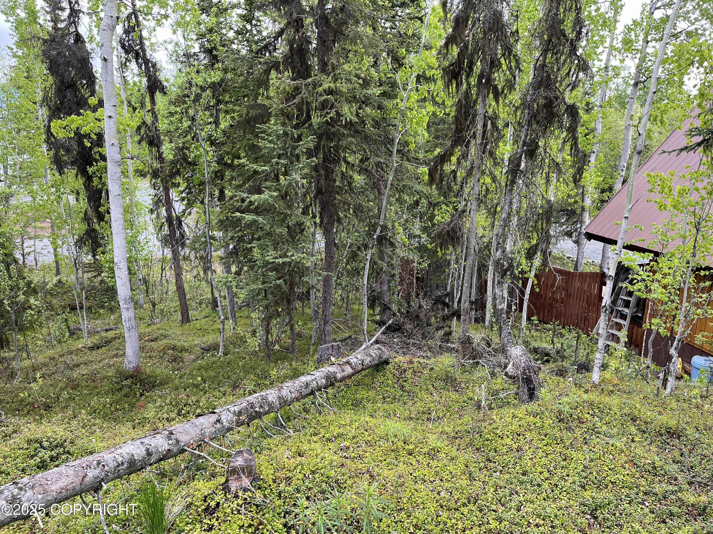 30175 Wildlife Avenue, Sterling, Alaska image 32