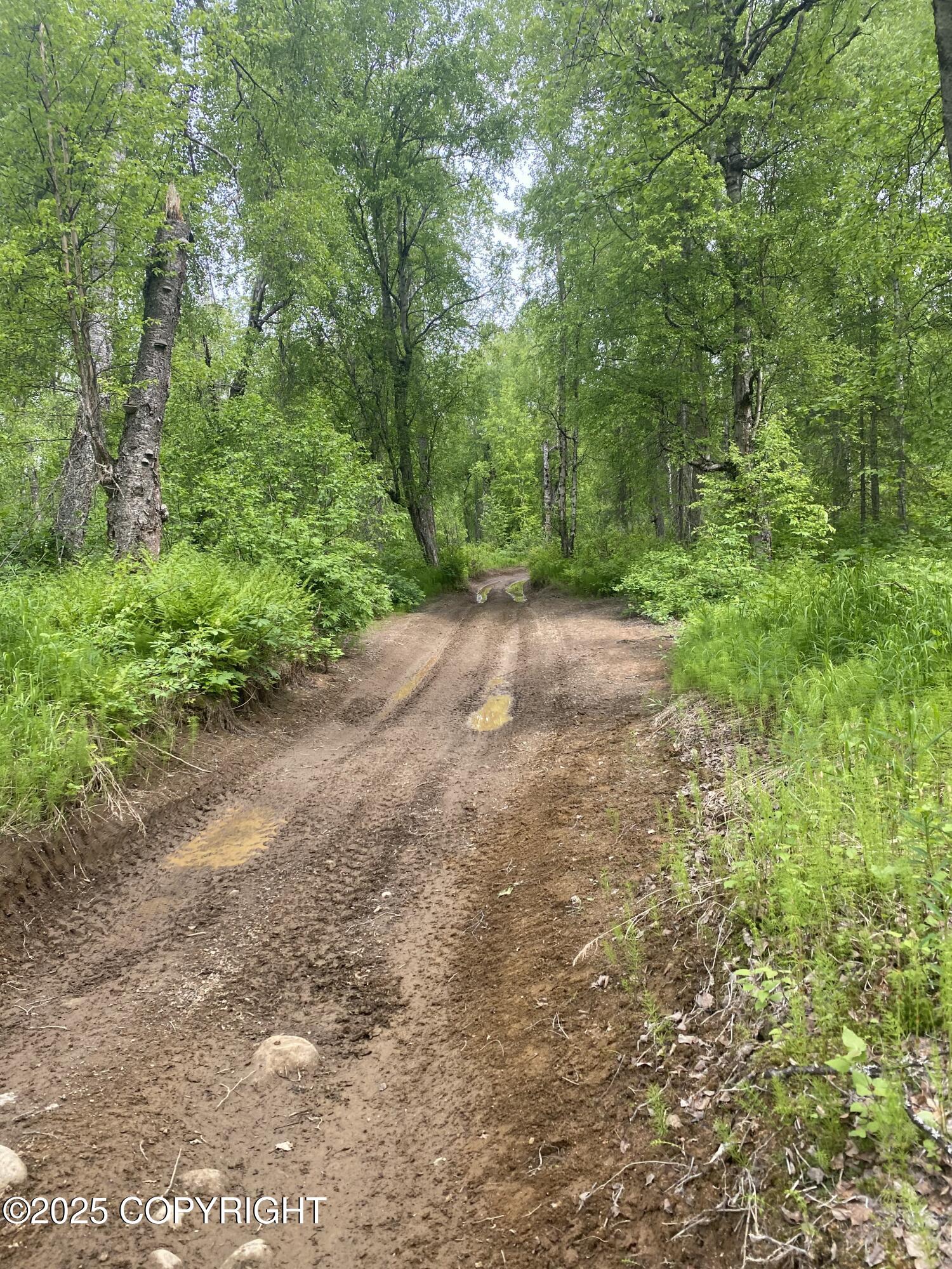 26936 E Talkeetna Heights Avenue, Talkeetna, Alaska image 14