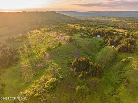 Vacant Land For Sale - 000 Loyjean Drive<br/> Homer, AK 99603