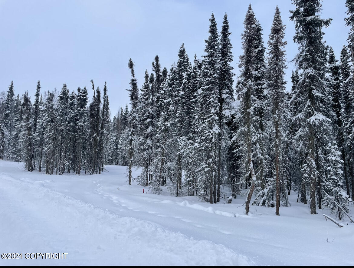 47350 Burt Avenue, Soldotna, Alaska image 6
