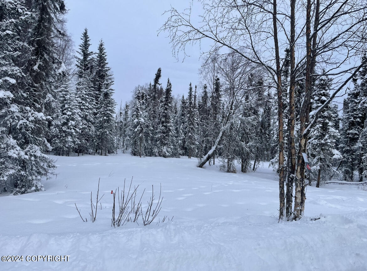 47350 Burt Avenue, Soldotna, Alaska image 7