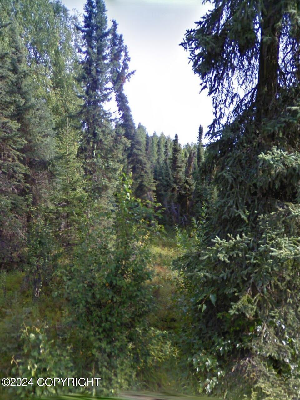 47350 Burt Avenue, Soldotna, Alaska image 3