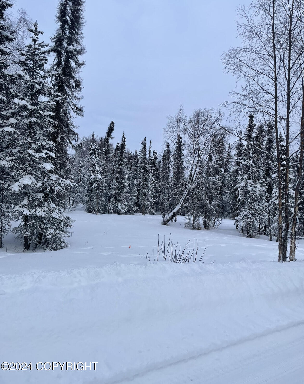 47350 Burt Avenue, Soldotna, Alaska image 8