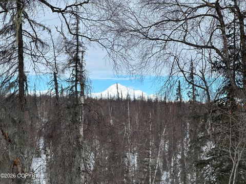 Vacant Land For Sale - TR A Asls 86-212<br/> Trapper Creek, AK 99683