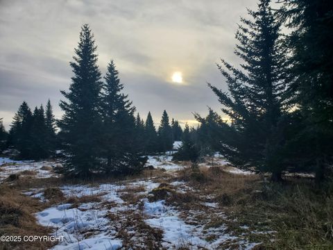 Vacant Land For Sale - 67609 Shavila Road<br/> Ninilchik, AK 99639