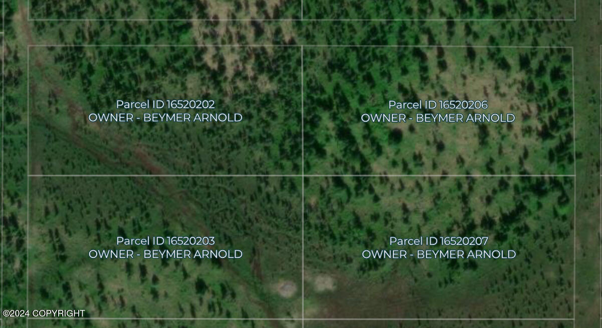 33542 Handcart Road, Anchor Point, Alaska image 6