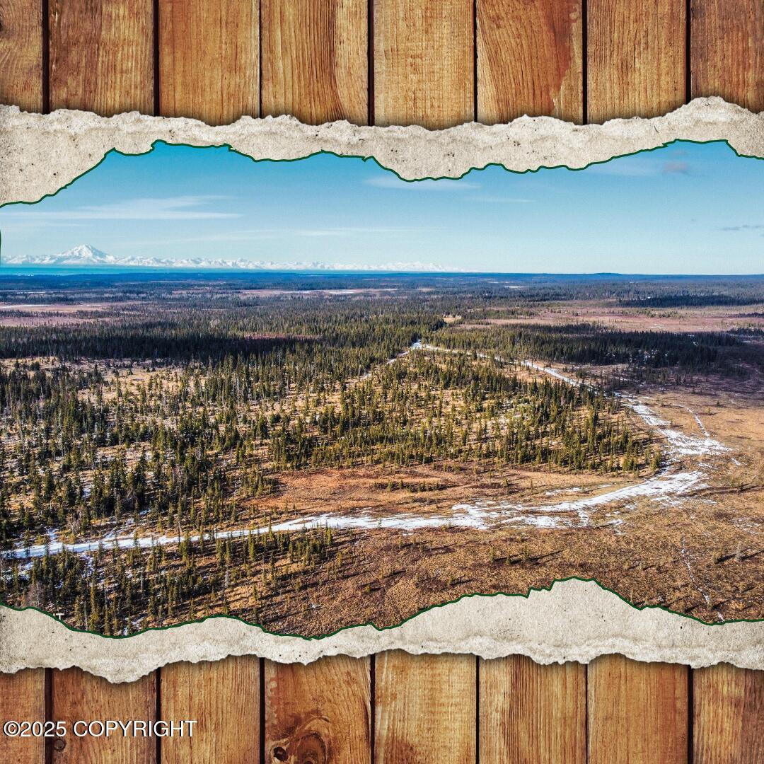 33542 Handcart Road, Anchor Point, Alaska image 1