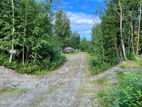 Homes For Sale - 51927 S Caswell Loop<br/> Willow, AK 99688