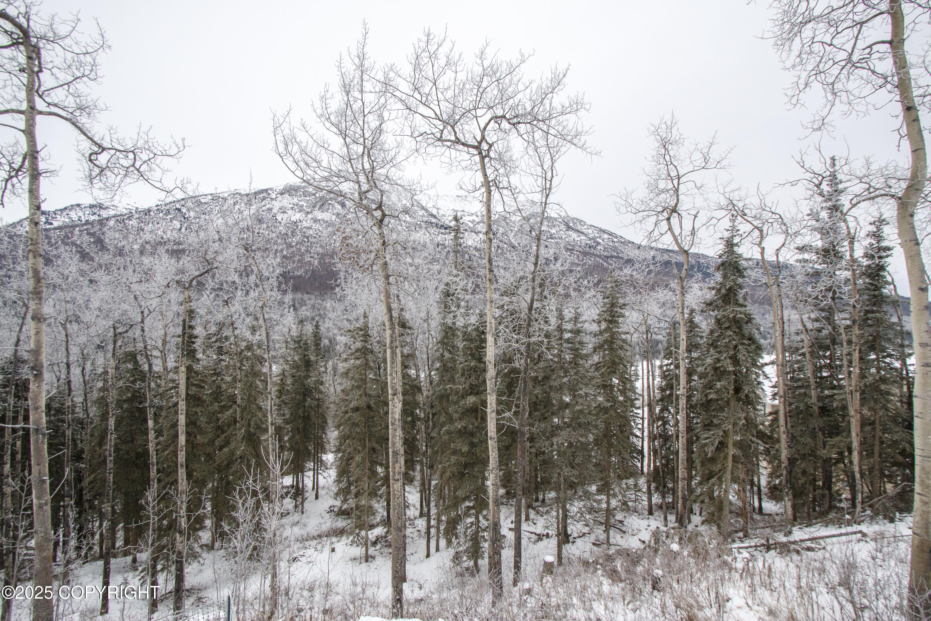 20436 Driftwood Bay Drive