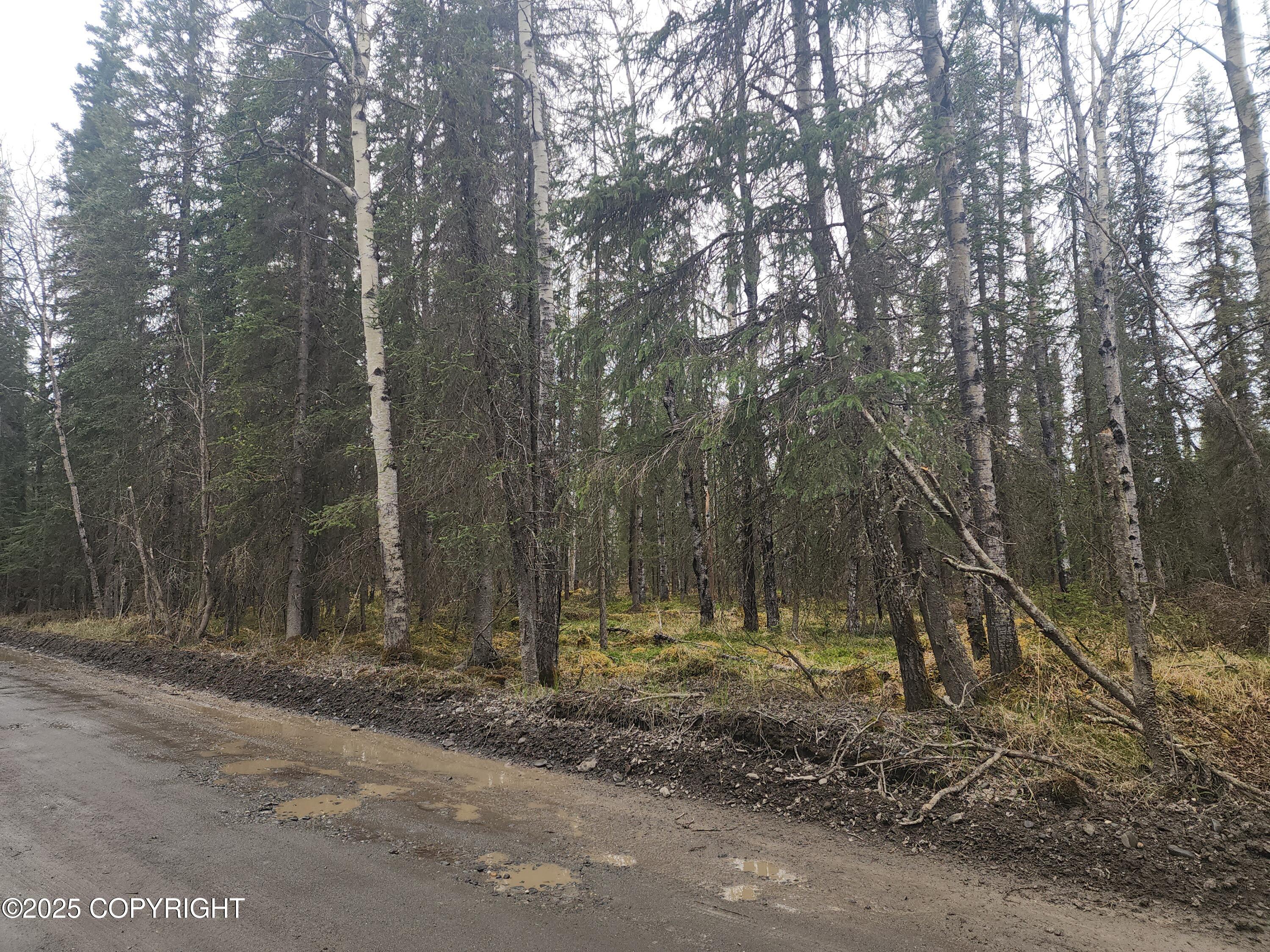 Tract K Byington Road, Kasilof, Alaska image 5