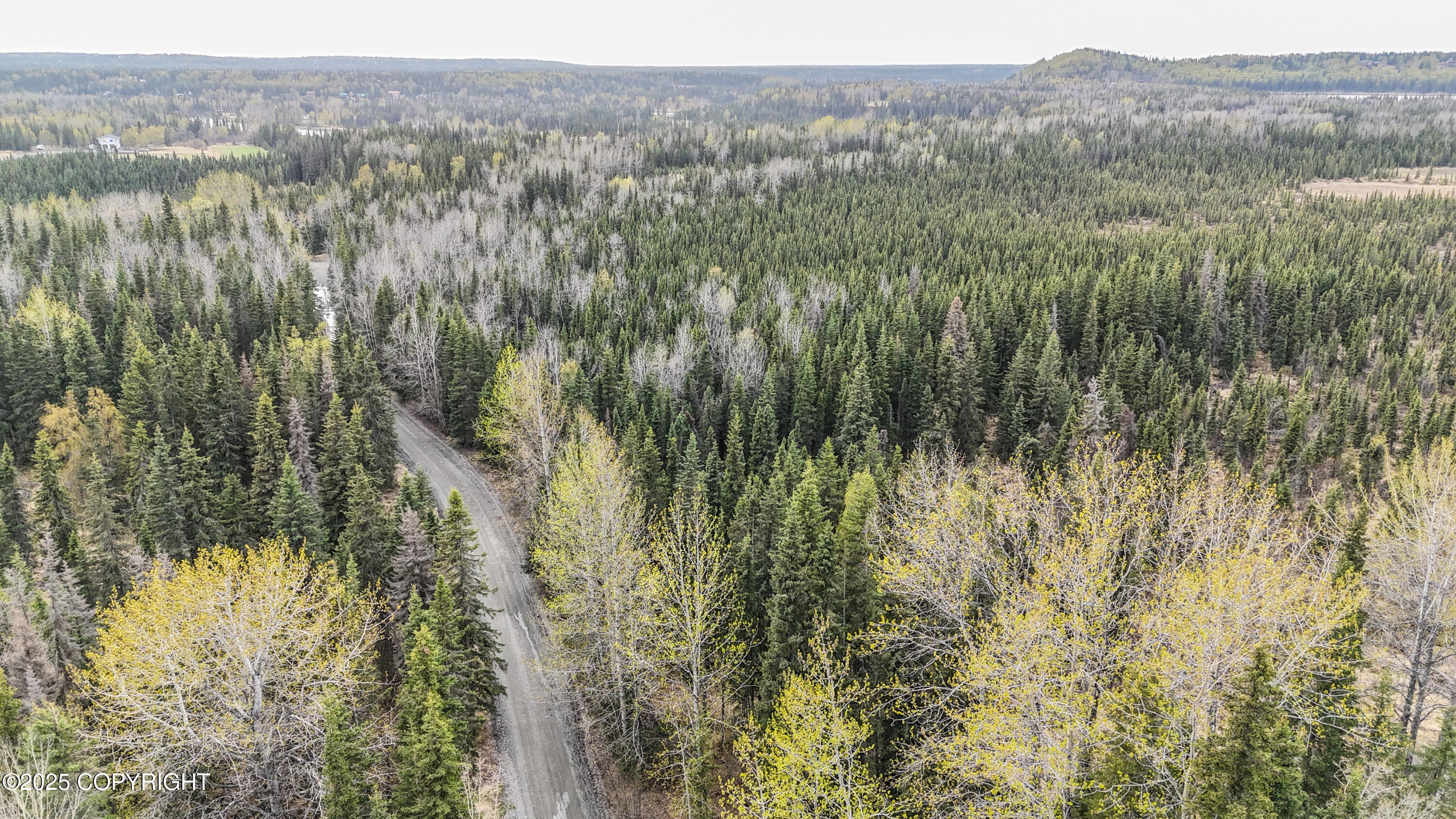 Tract K Byington Road, Kasilof, Alaska image 7