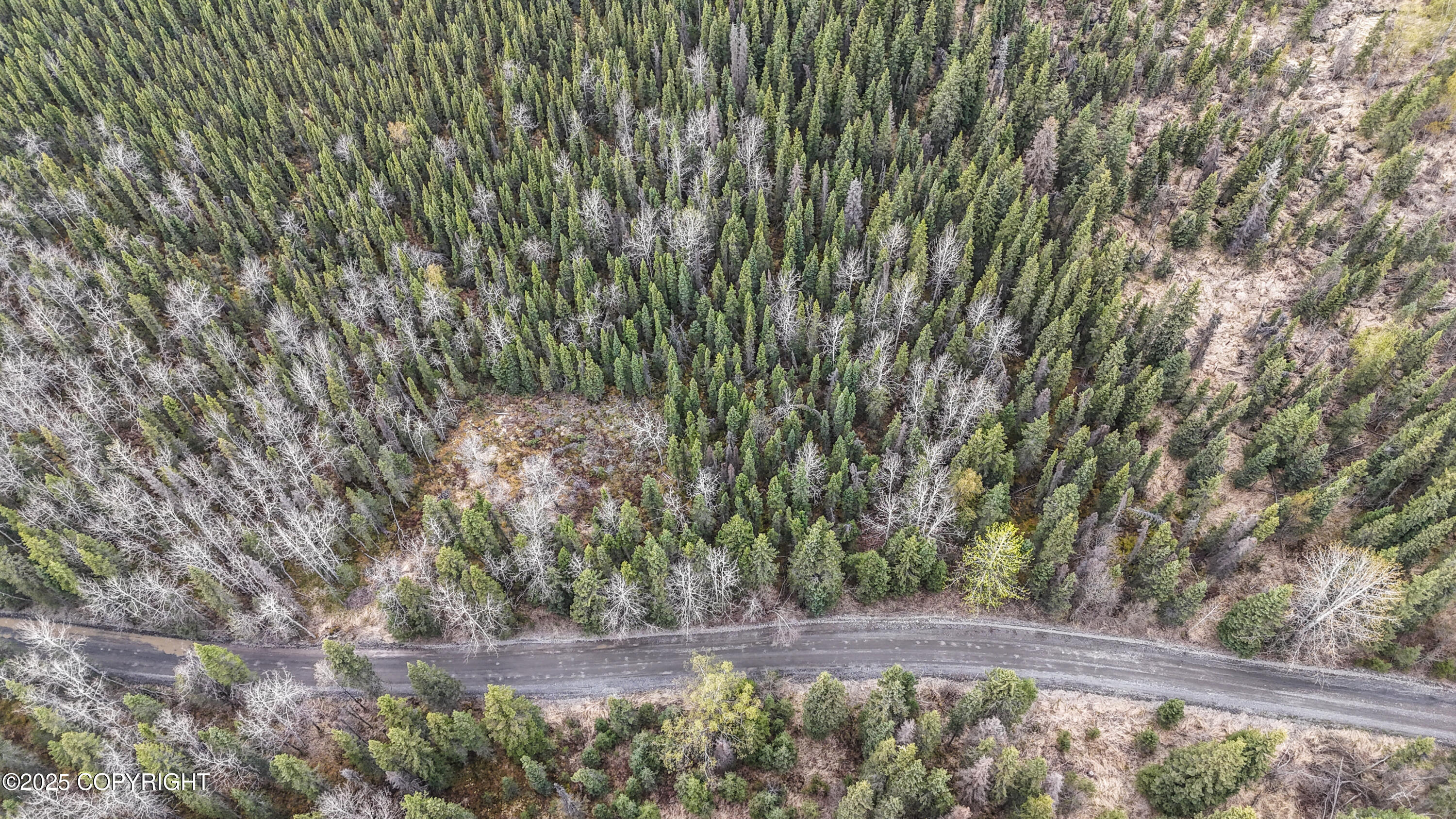 Tract K Byington Road, Kasilof, Alaska image 8