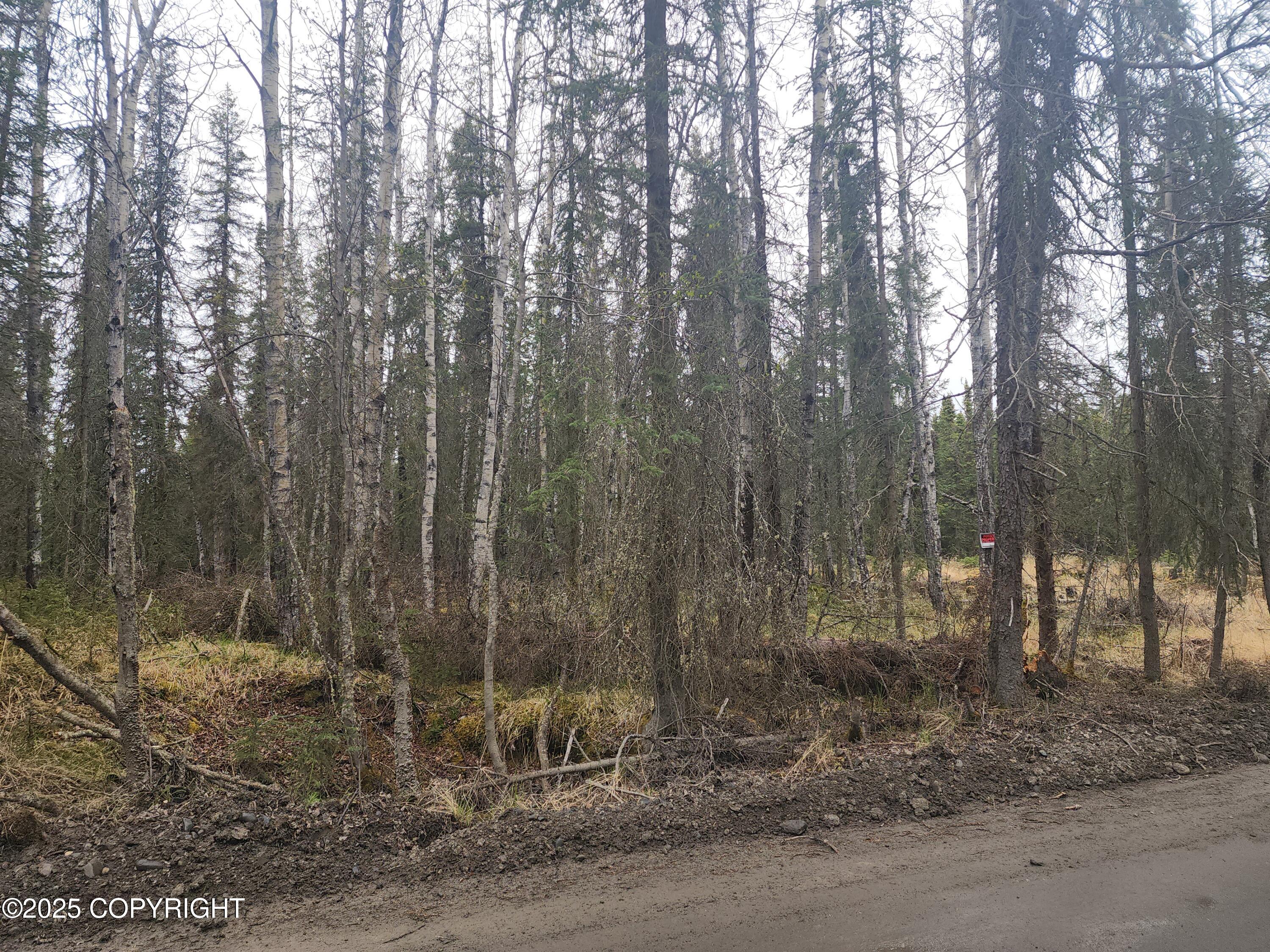 Tract K Byington Road, Kasilof, Alaska image 4