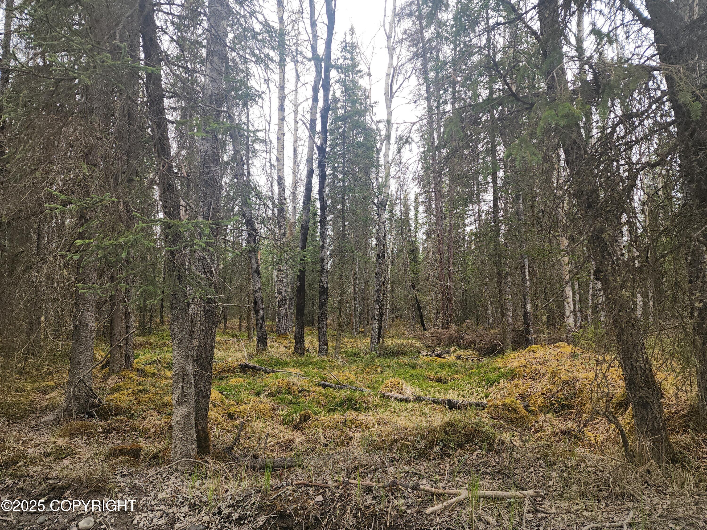 Tract K Byington Road, Kasilof, Alaska image 3