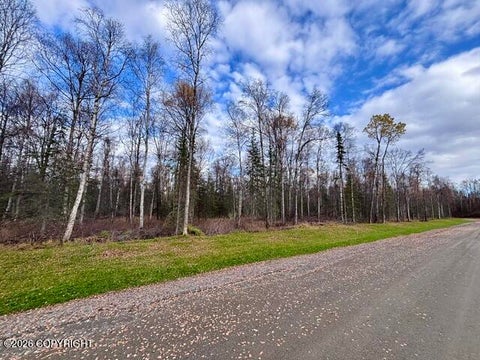 Photo of 14567 E Sculpin Street, Talkeetna, AK 99676 (MLS # 26-12831)