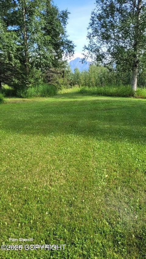 Vacant Land For Sale - 3950 E Mark Drive<br/> Wasilla, AK 99654