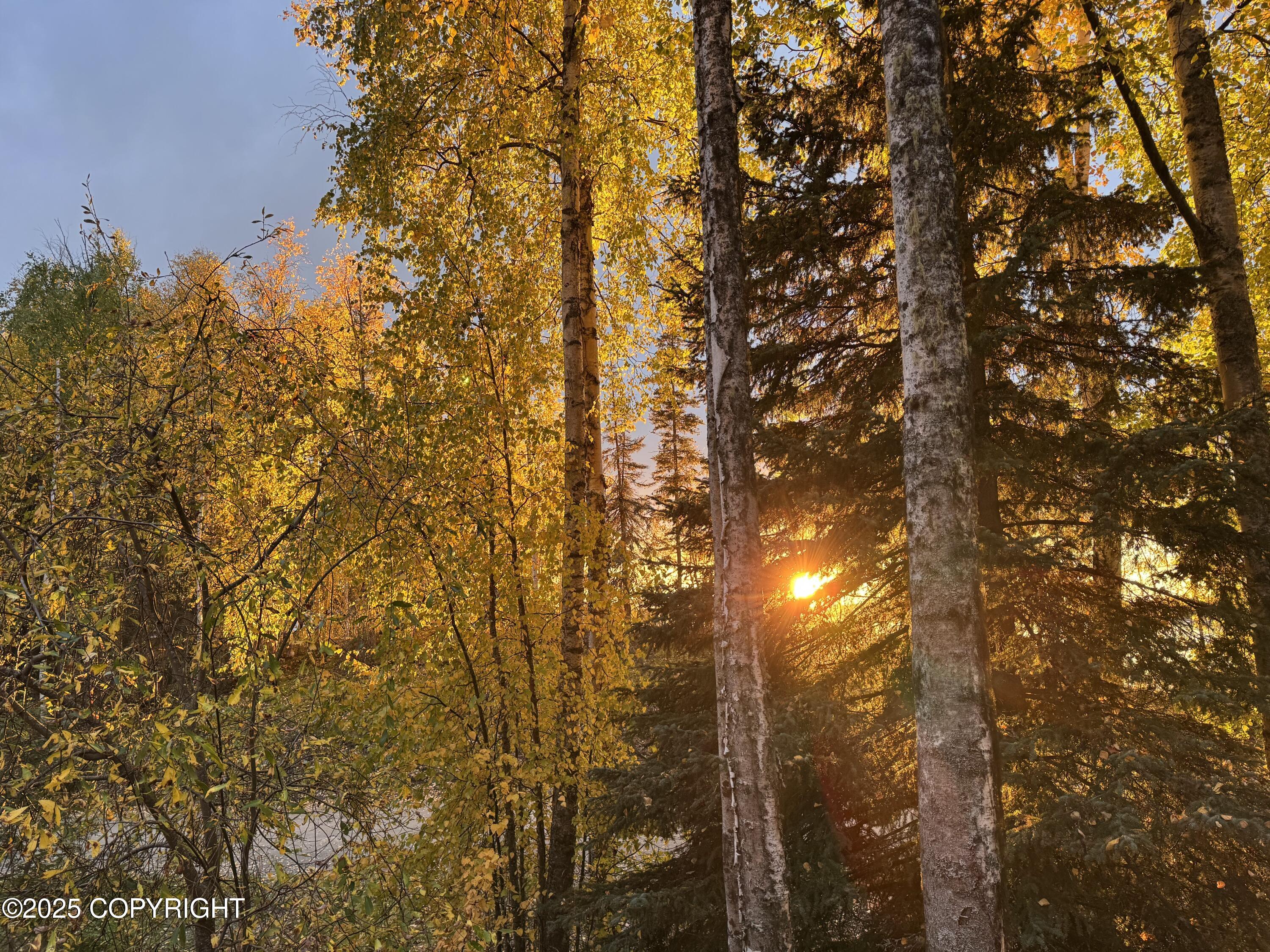 3783 S Lake View Loop, Big Lake, Alaska image 26