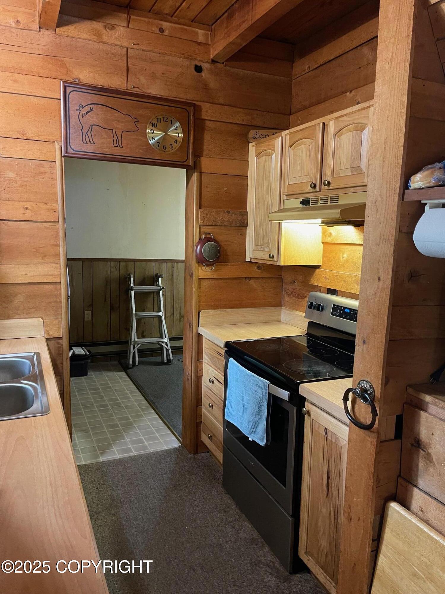 3783 S Lake View Loop, Big Lake, Alaska image 10