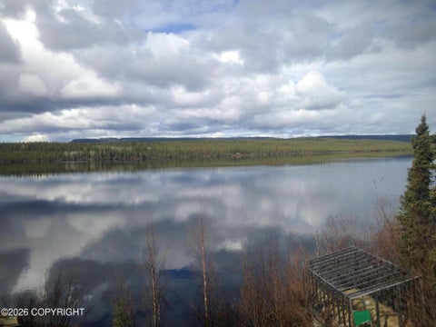 Homes For Sale - 1&2 Tolsona Lake Road<br/> Glennallen, AK 99588