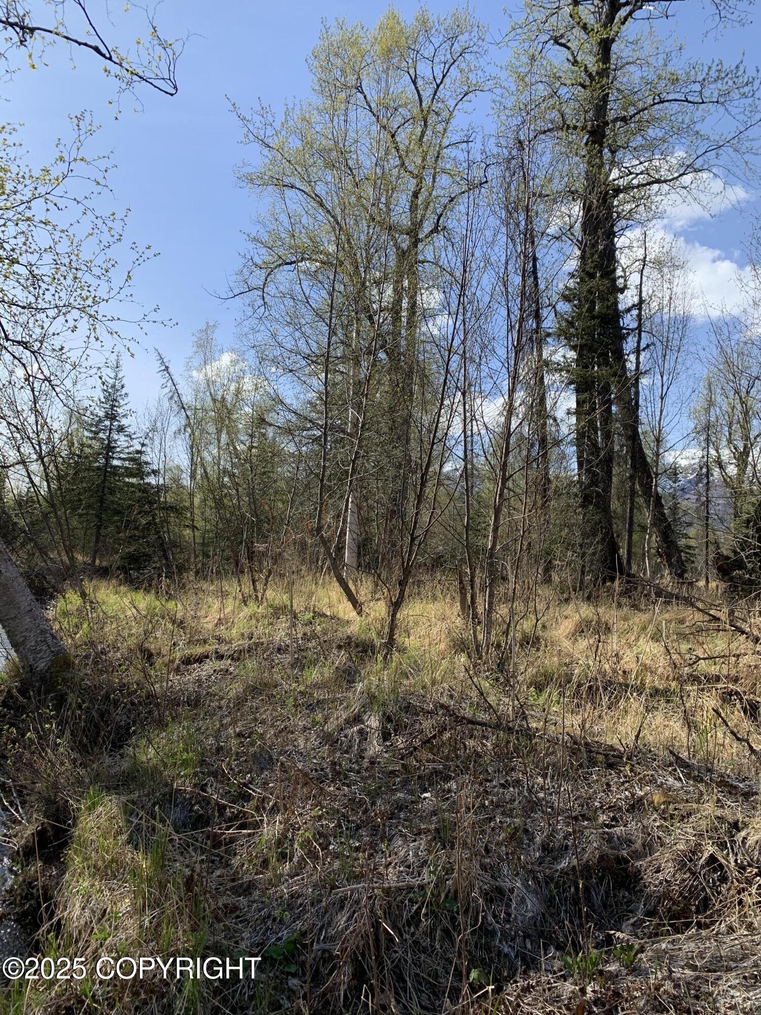 8126 S Wasilla-fishhook Road, Wasilla, Texas image 18