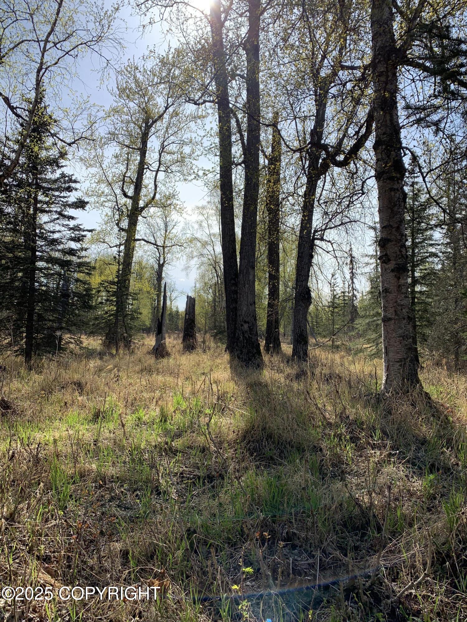 8126 S Wasilla-fishhook Road, Wasilla, Texas image 22