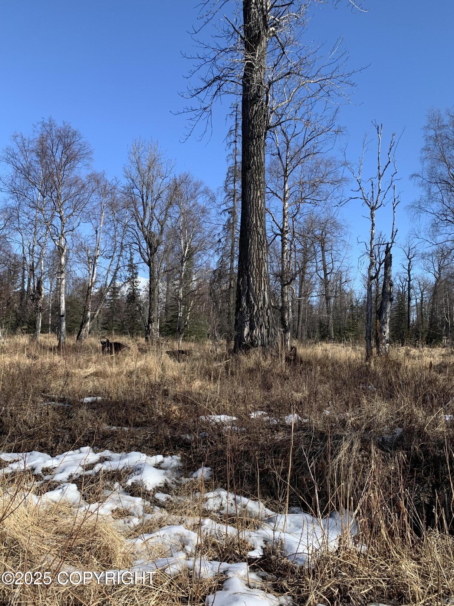 8126 S Wasilla-fishhook Road, Wasilla, Texas image 13