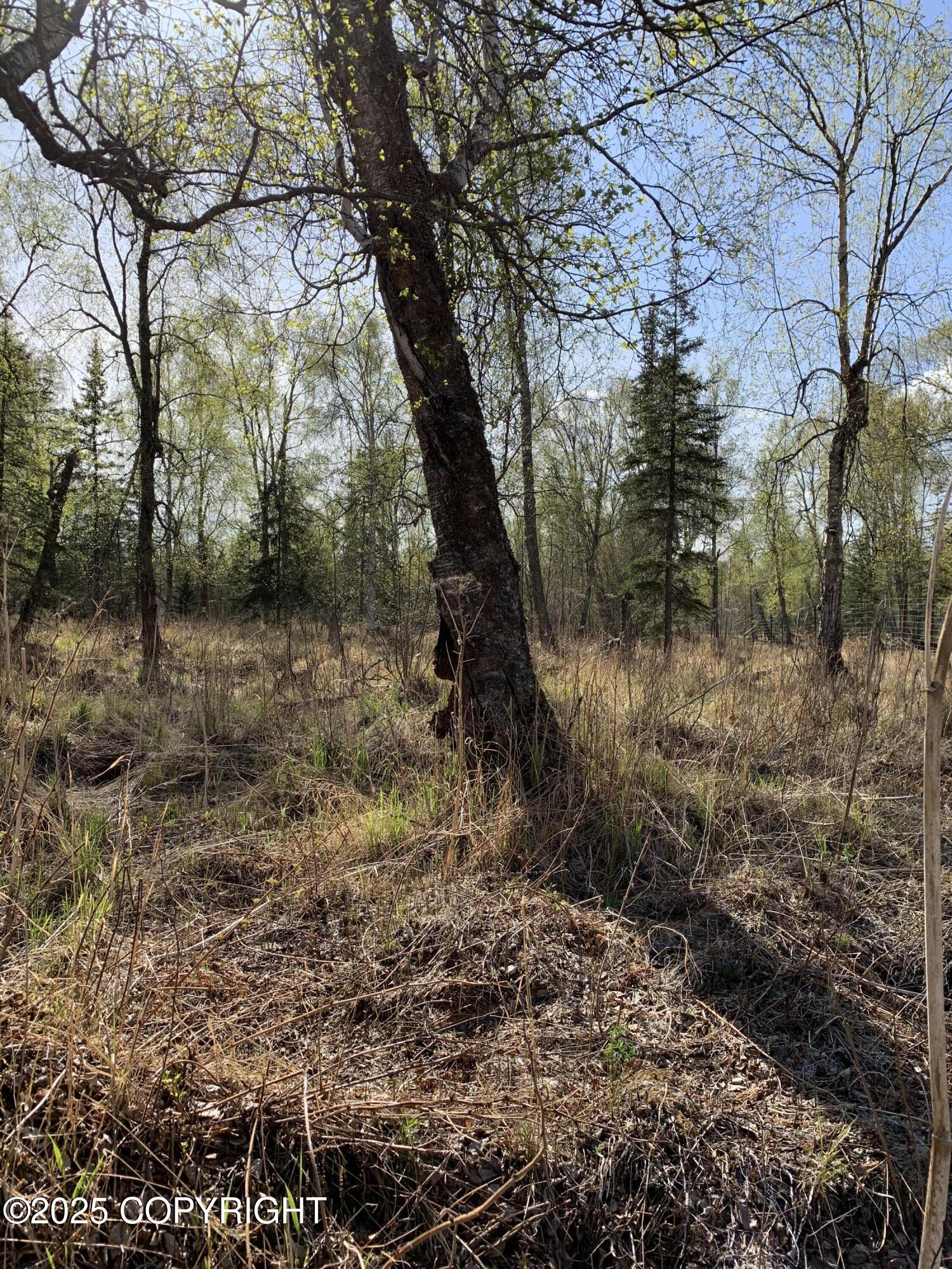8126 S Wasilla-fishhook Road, Wasilla, Texas image 25