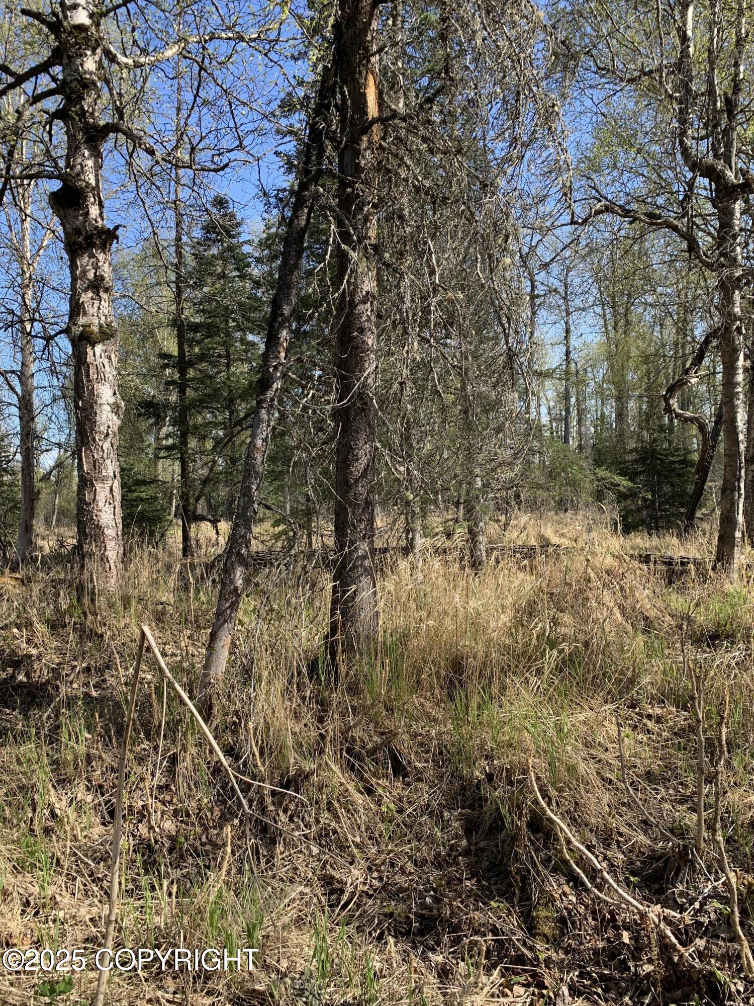 8126 S Wasilla-fishhook Road, Wasilla, Texas image 21