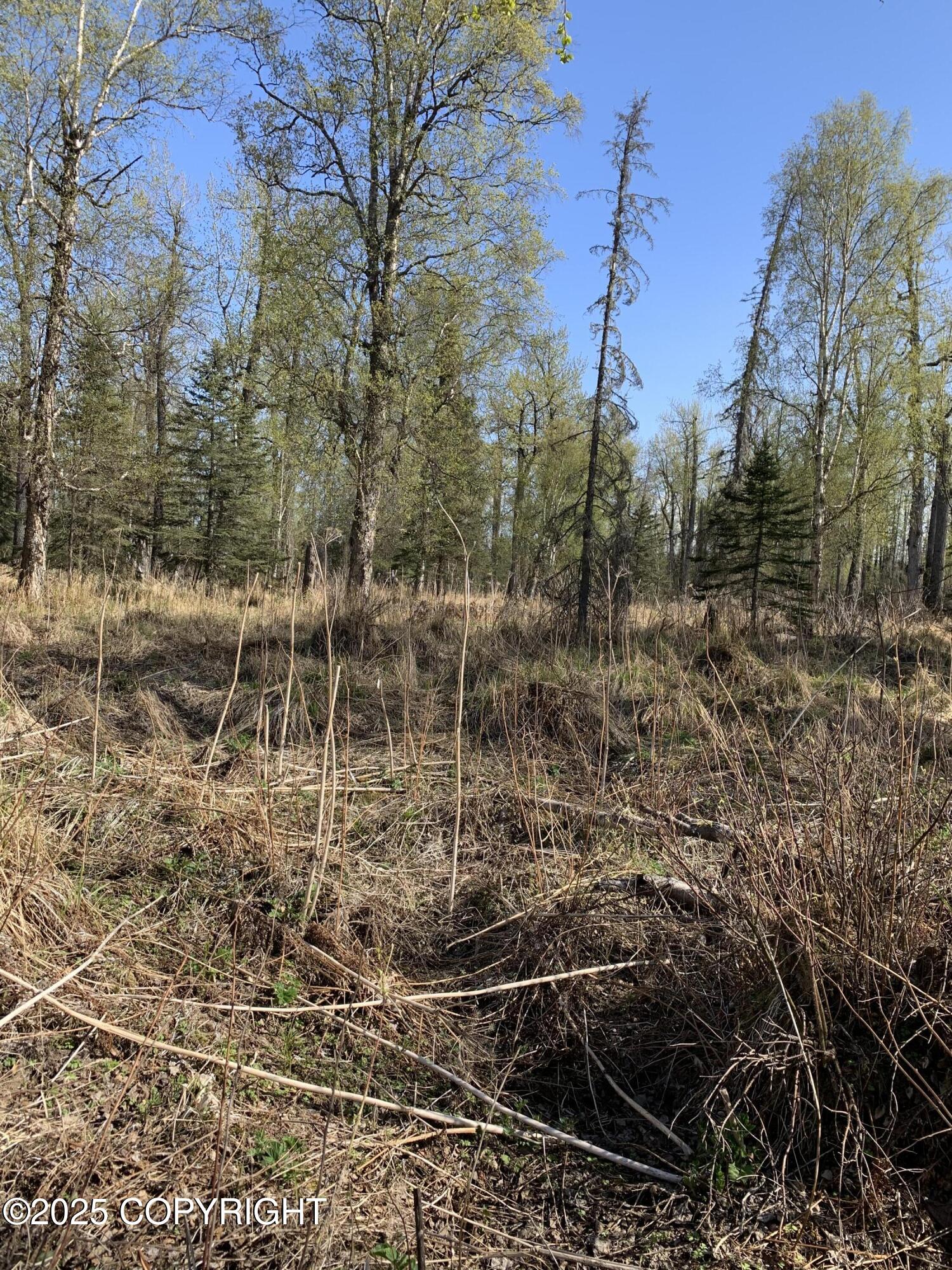 8126 S Wasilla-fishhook Road, Wasilla, Texas image 23