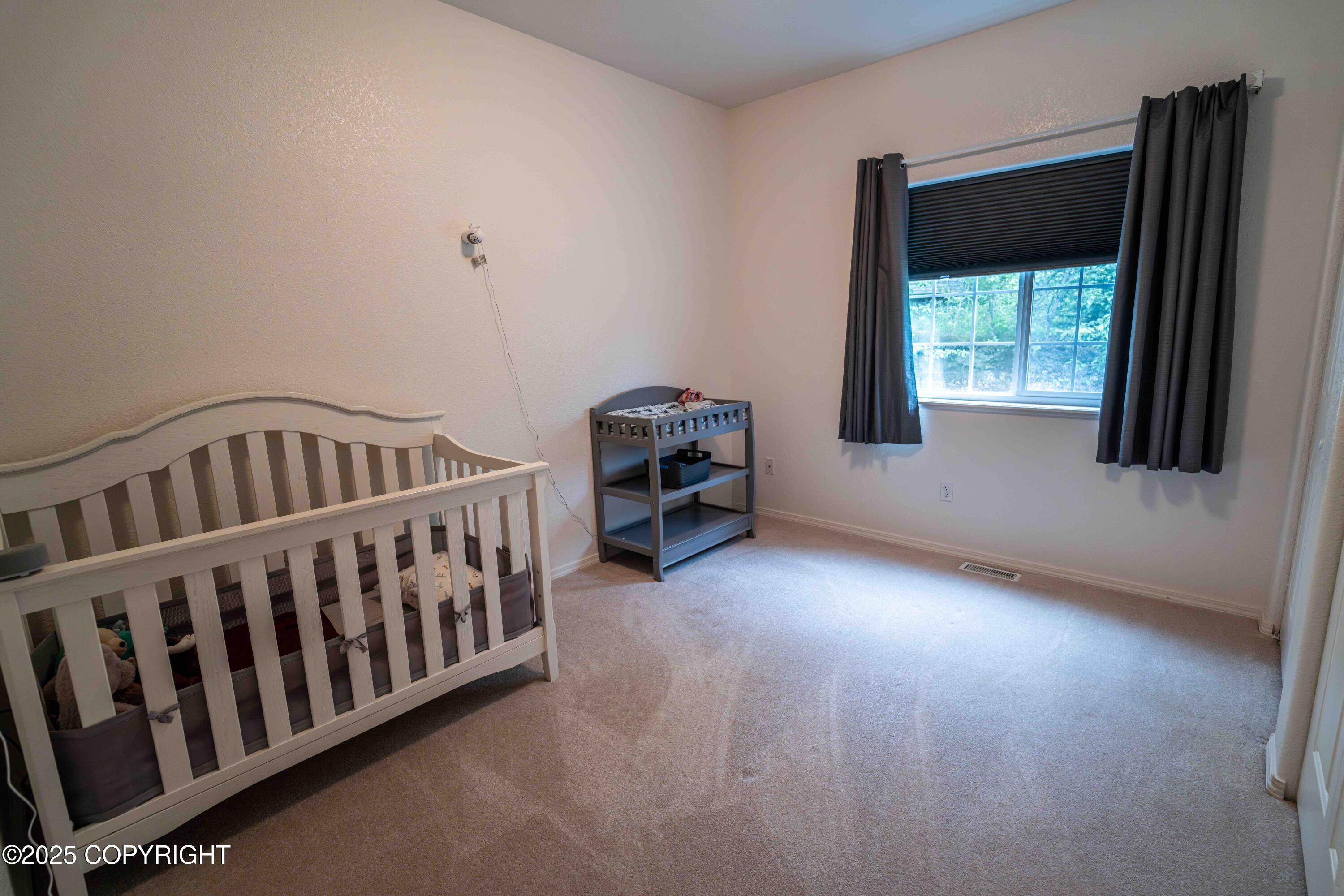 4085 N Forestwood Drive, Palmer, Alaska image 27