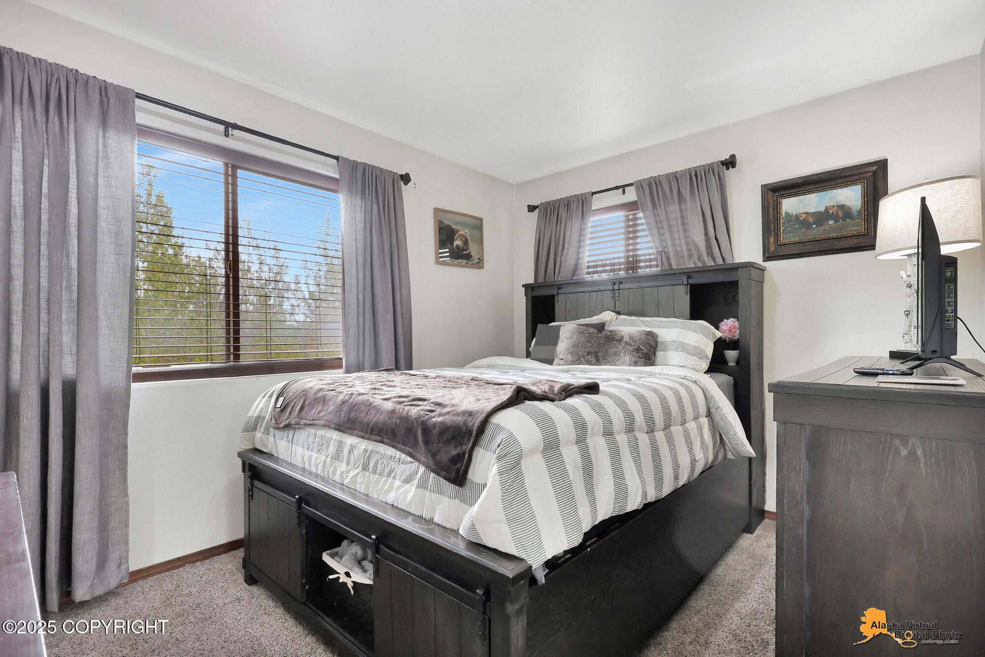 704 S Freeman Way, Big Lake, Alaska image 10