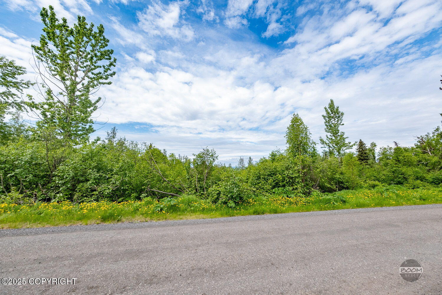L1 Montagne Circle, Anchorage, Alaska image 21