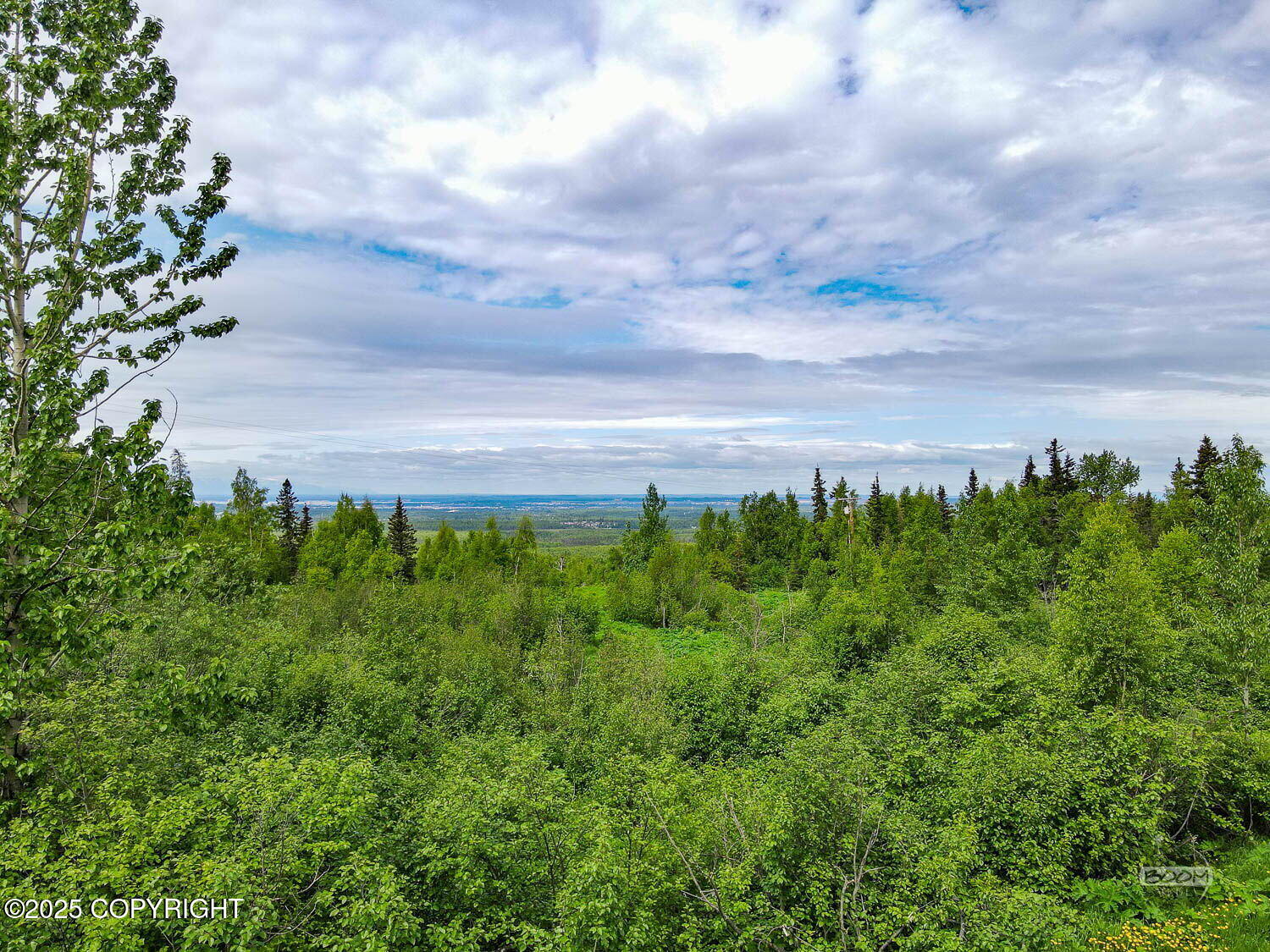 L1 Montagne Circle, Anchorage, Alaska image 11