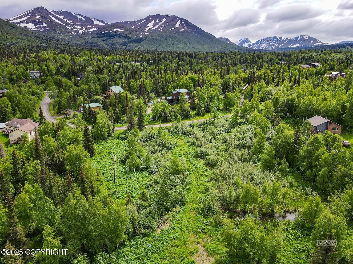 L1 Montagne Circle, Anchorage, Alaska image 17