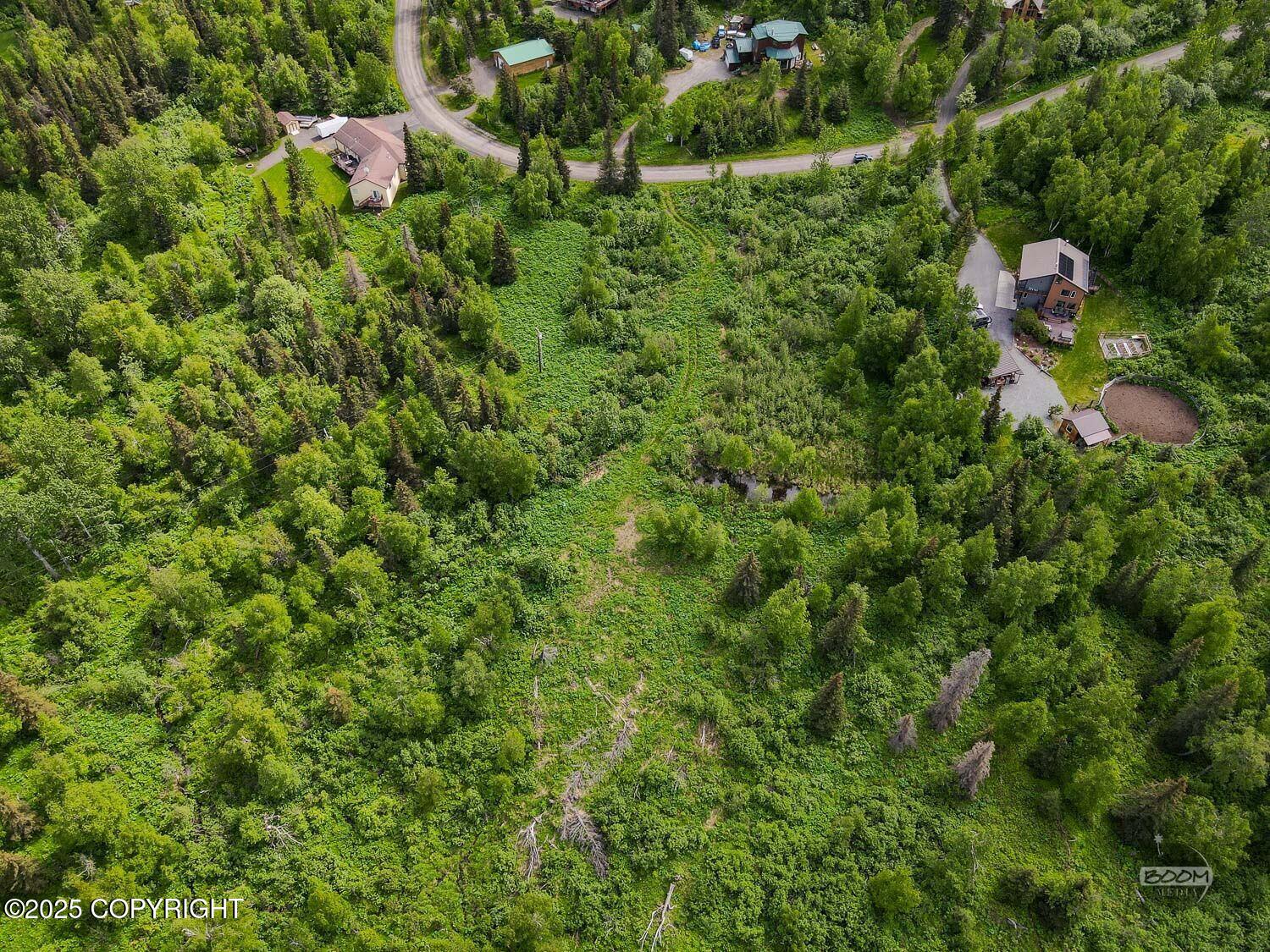 L1 Montagne Circle, Anchorage, Alaska image 6