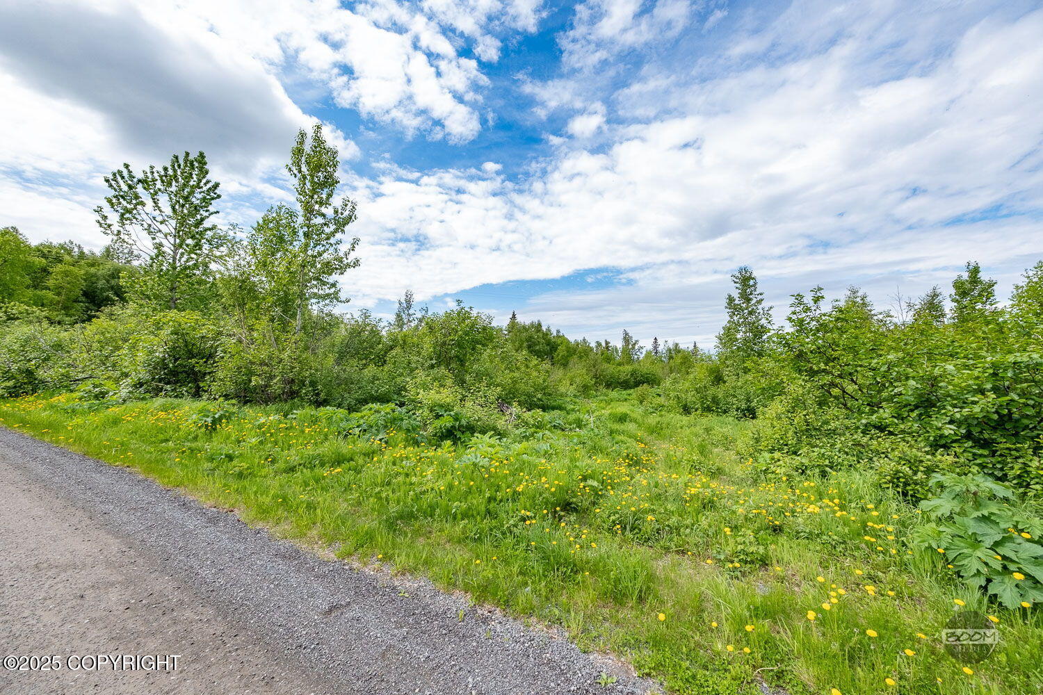 L1 Montagne Circle, Anchorage, Alaska image 22