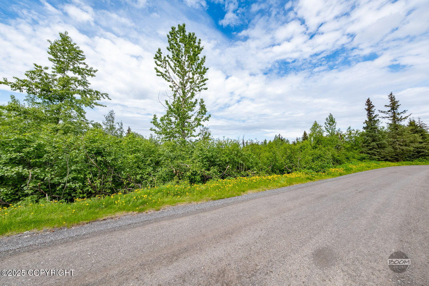 L1 Montagne Circle, Anchorage, Alaska image 20