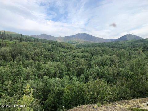 000 Marvel Creek Gold Mine North Aniak AK 99557